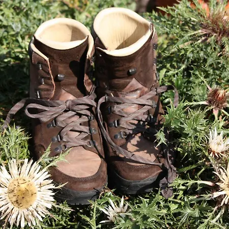 Apartamento Bürschtehanse-hof