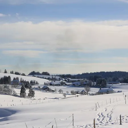 Apartamento Bürschtehanse-hof Ibach