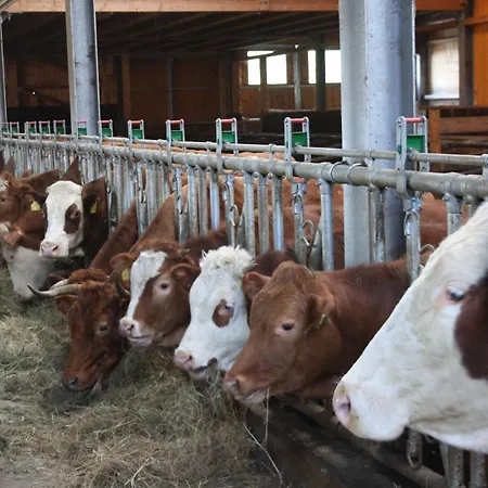 Apartamento Bürschtehanse-hof Ibach