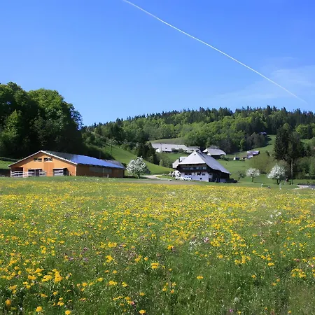 Bürschtehanse-hof Apartamento *