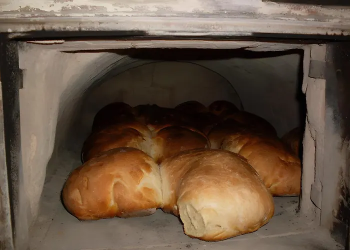 Bürschtehanse-hof Appartement